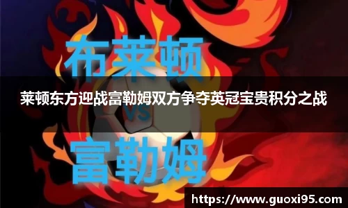 快盈VIII