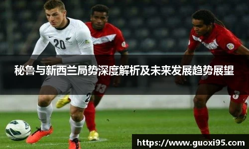 秘鲁与新西兰局势深度解析及未来发展趋势展望